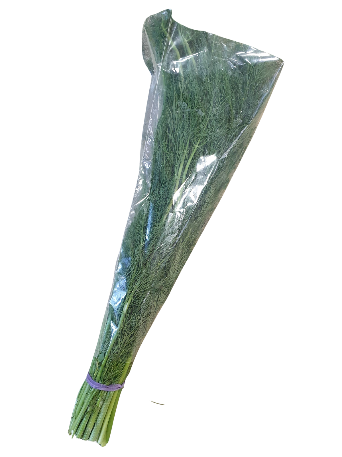 Dill- Fresh Herbs