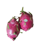 Dragon Fruit- RED, Large (each)