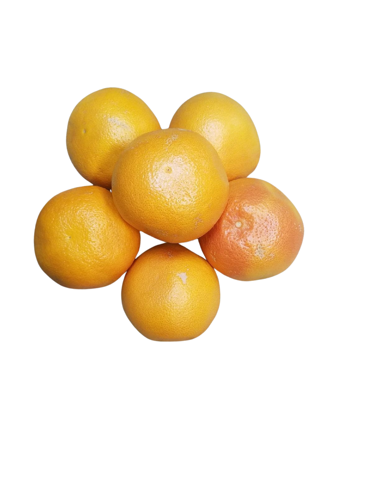 Grapefruit - Ruby XL (each)