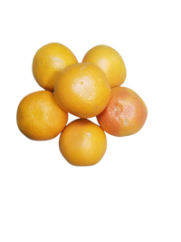 Grapefruit - Ruby XL (each)
