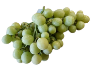 Grapes- Green  (1kg)