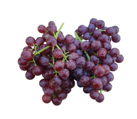 Grapes - Red 500g premium (aussie)
