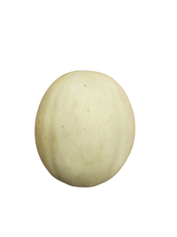 Honeydew - (whole) each