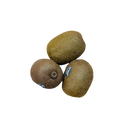 Kiwi fruit- Green, Large (each)