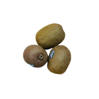 Kiwi fruit- Green, Large (each)