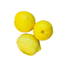 Lemons (each) Large