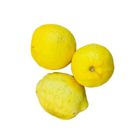 Lemons (each) Large