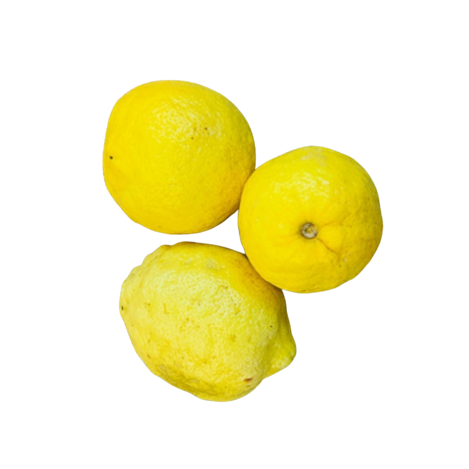 Lemons (each) Large