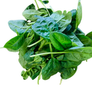 Lettuce- Baby Spinach 100g