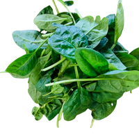 Lettuce- Baby Spinach 100g