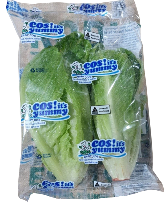 Lettuce- Cos 2 Pack (each)