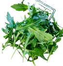 Lettuce- Rocket 100g