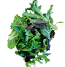 Lettuce- Salad Mix 100g
