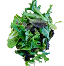 Lettuce- Salad Mix 400g