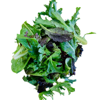 Lettuce- Salad Mix 400g