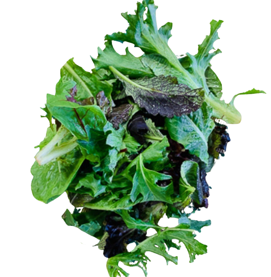Lettuce- Salad Mix 400g