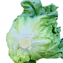 Lettuce, Iceberg (each)