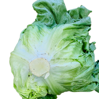 Lettuce, Iceberg (each)