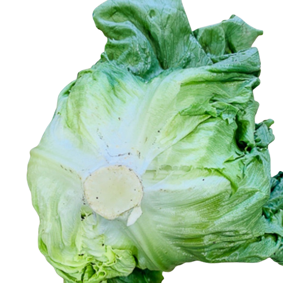 Lettuce, Iceberg (each)