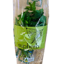 Mint, Fresh ( bunch)