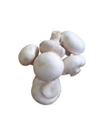 Mushrooms- White cup 500g