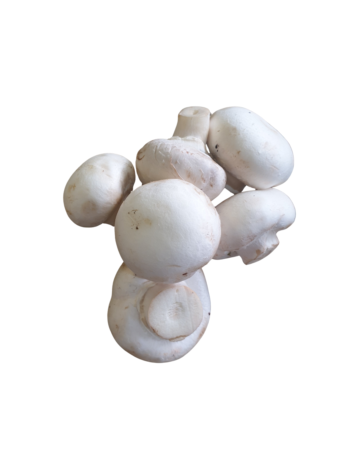 Mushrooms- White cup 500g