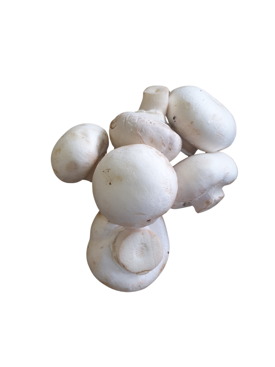 Mushrooms- White cup 500g
