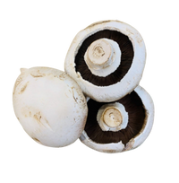 Mushrooms - White Flat (each)