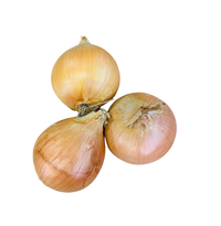 Onion-Brown  each
