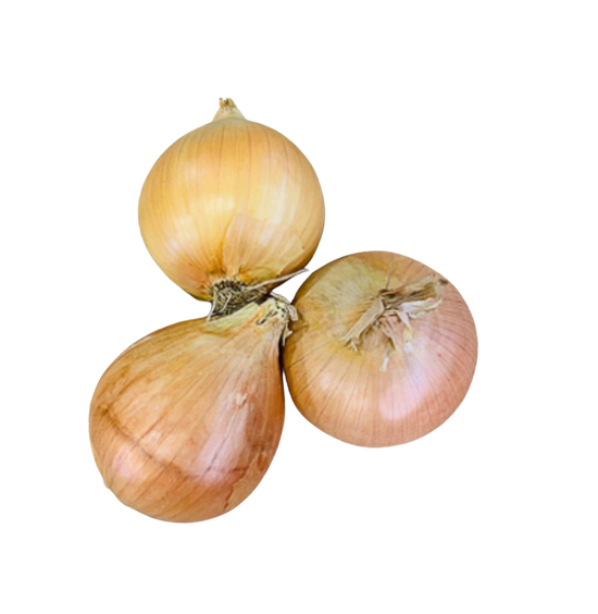 Onion-Brown  each