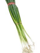 Onion-Spring (bunch)