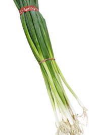 Onion-Spring (bunch)