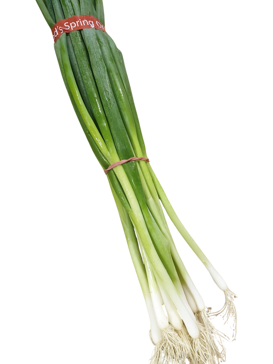 Onion-Spring (bunch)