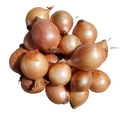 Onion- Brown (2kg)