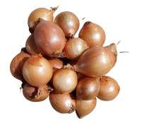 Onion- Brown (2kg)