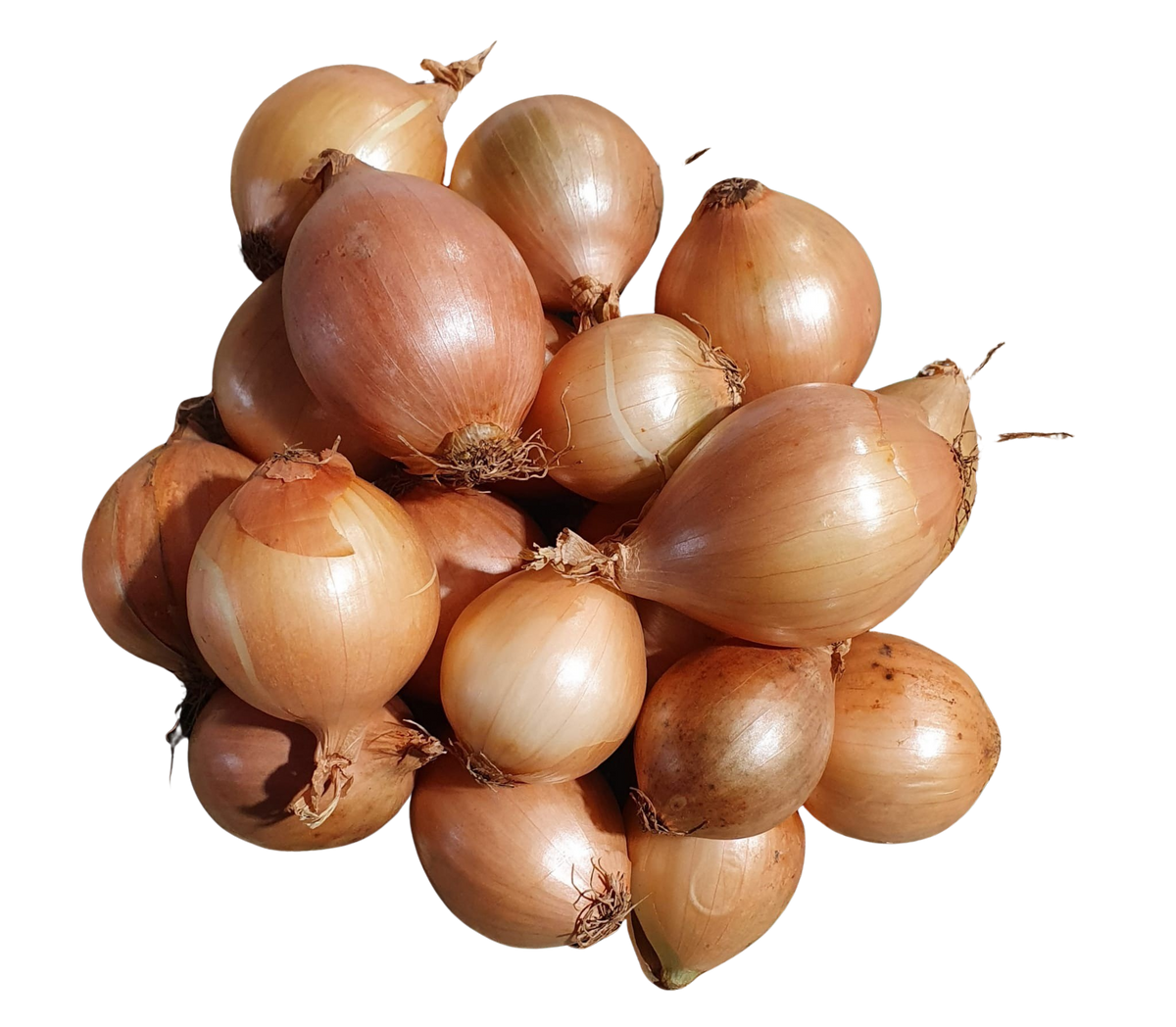 Onion- Brown (2kg)