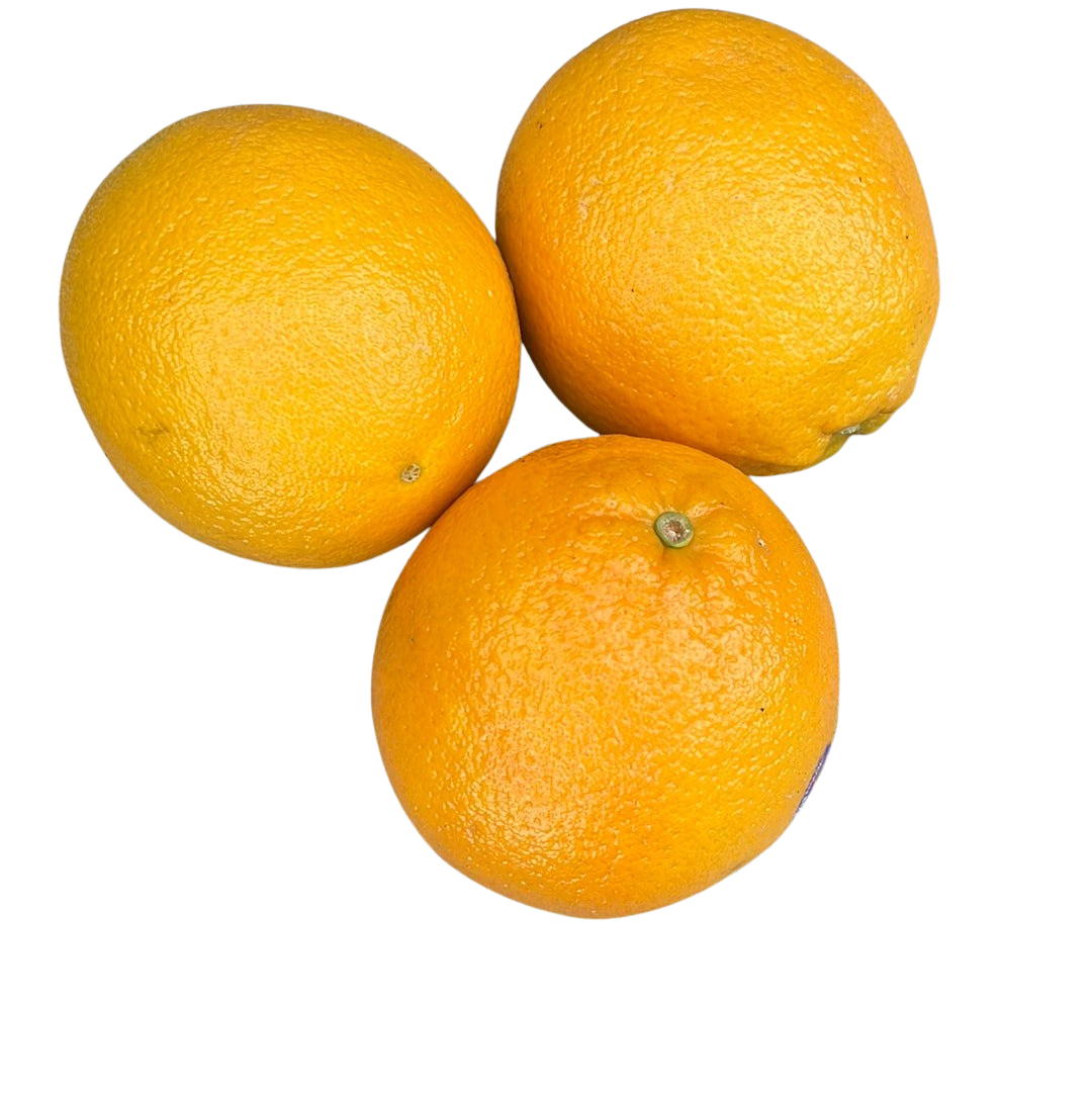 Oranges - Navel XL (each)