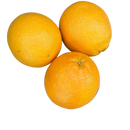 Oranges - Navel XL (each)