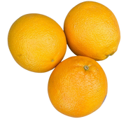 Oranges - Navel XL (each)