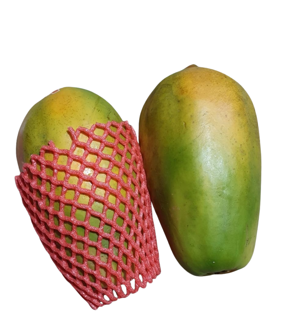 Papaya - (each) Large