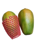 Papaya - (each) Large