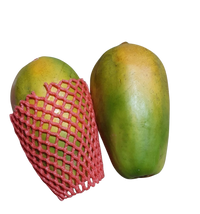Papaya - (each) Large