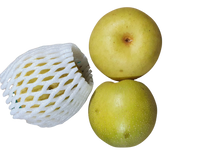 Pears, Nasi( each)