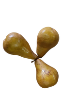 Pears, brown (each)