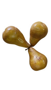 Pears, brown (each)