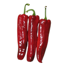 Pepper- Red Sweet (each)