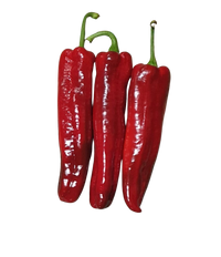 Pepper- Red Sweet (each)