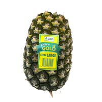 Pineapple- Large Gold ( each)