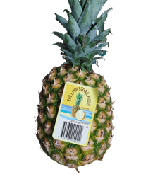 Pineapple, ( XL)