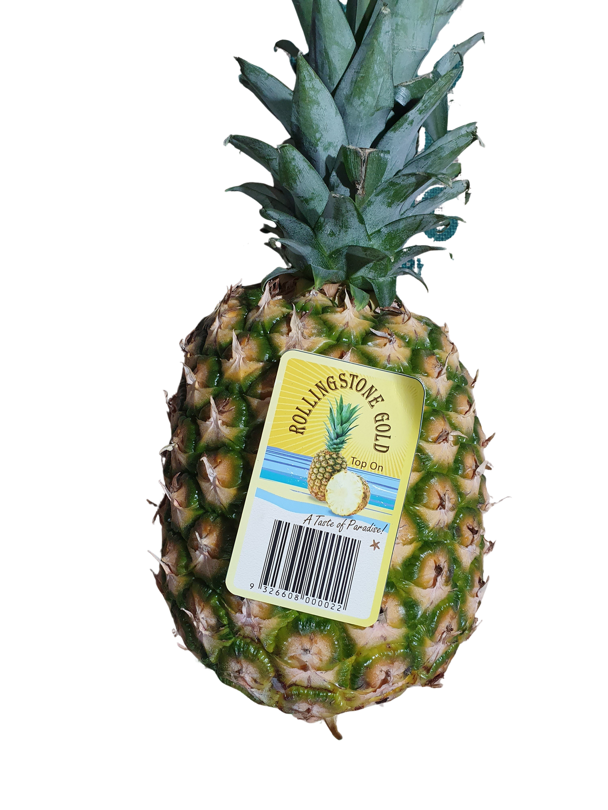 Pineapple, ( XL)